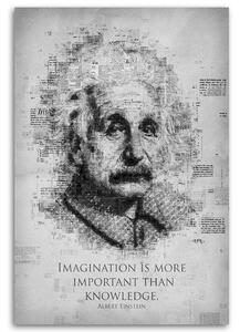 Obraz na plátně Vědec Albert Einstein - Gab Fernando Rozměry: 40 x 60 cm