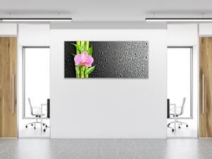 Obraz skleněný květ růžová orchidej a bambus na černém pozadí - 40 x 60 cm