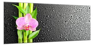 Obraz skleněný květ růžová orchidej a bambus na černém pozadí - 34 x 72 cm