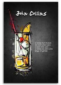 Obraz na plátně Koktejl john collins - Gab Fernando Rozměry: 40 x 60 cm