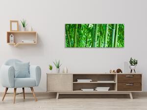 Obraz skleněný sytě zelený bambusový les - 40 x 100 cm