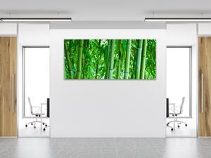 Obraz skleněný sytě zelený bambusový les - 30 x 60 cm