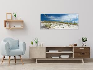 Obraz skleněný písečná duna s trávou - 30 x 60 cm