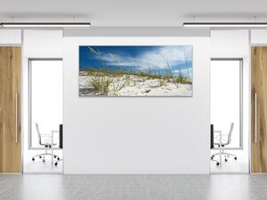 Obraz skleněný písečná duna s trávou - 30 x 60 cm