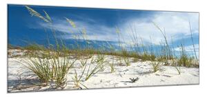 Obraz skleněný písečná duna s trávou - 40 x 60 cm