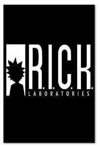 Obraz na plátně Animovaný seriál R.I.C.K labs - Dr.Monekers Rozměry: 40 x 60 cm