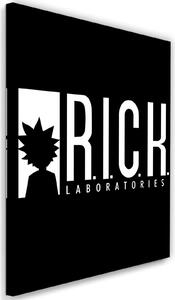 Obraz na plátně Animovaný seriál R.I.C.K labs - Dr.Monekers Rozměry: 40 x 60 cm