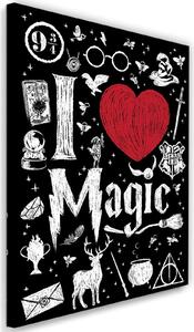 Obraz na plátně Harry Potter, miluji magii - Dr.Monekers Rozměry: 40 x 60 cm