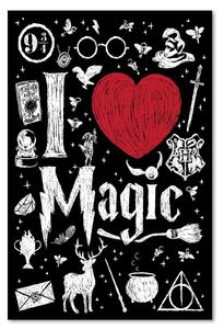 Obraz na plátně Harry Potter, miluji magii - Dr.Monekers Rozměry: 40 x 60 cm