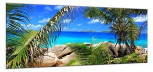 Obraz skleněný tropické moře a palmy - 52 x 60 cm