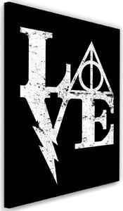 Obraz na plátně Harry Potter, láska - Dr.Monekers Rozměry: 40 x 60 cm