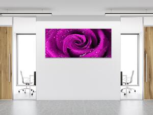 Obraz skleněný detail květu růže - 30 x 60 cm