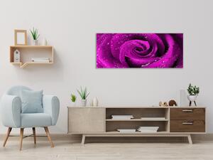 Obraz skleněný detail květu růže - 50 x 100 cm