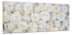 Obraz skleněný květy bílých růží - 34 x 72 cm