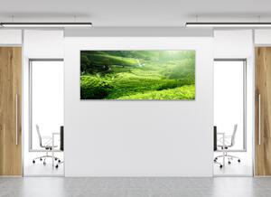 Obraz skleněný čajová plantáž Malajsie - 30 x 60 cm