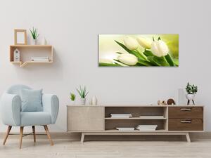 Obraz skleněný květy bílé tulipány na zeleném pozadí - 30 x 60 cm