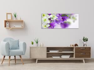 Obraz skleněný květy bílých a modrých zvonků - 70 x 100 cm