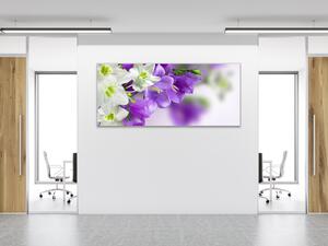 Obraz skleněný květy bílých a modrých zvonků - 30 x 60 cm