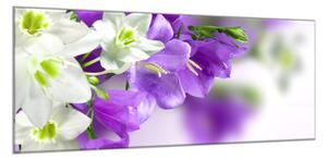 Obraz skleněný květy bílých a modrých zvonků - 52 x 60 cm