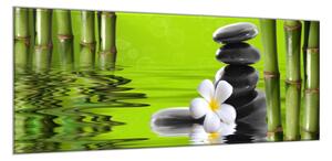 Obraz skleněný zelený bambus, květ, kameny ve vodě - 70 x 100 cm