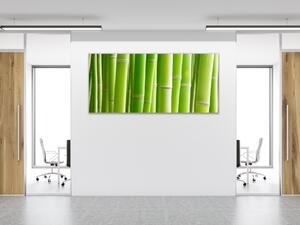 Obraz skleněný detaily stvolu zeleného bambusu - 30 x 60 cm