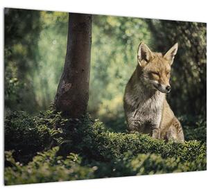 Skleněný obraz lišky (70x50 cm)