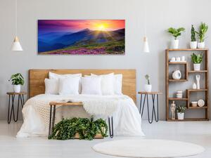 Obraz skleněný rozkvetla horská louka - 30 x 60 cm