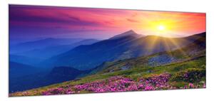 Obraz skleněný rozkvetla horská louka - 50 x 70 cm