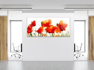 Obraz skleněný malované květy vlčí máky - 100 x 150 cm