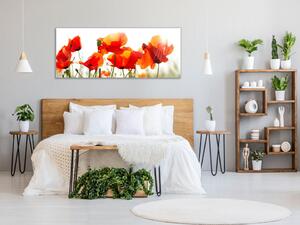 Obraz skleněný malované květy vlčí máky - 50 x 70 cm