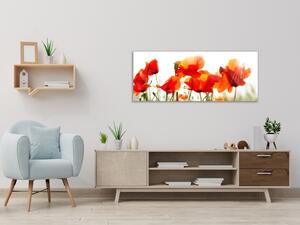 Obraz skleněný malované květy vlčí máky - 30 x 60 cm