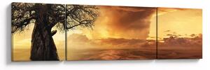 Obraz oranžových mračen (170x50 cm)
