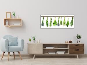 Obraz skleněný bylinky visí na tyči - 30 x 60 cm