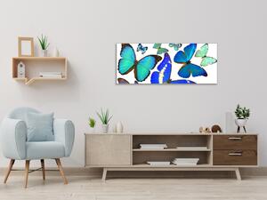 Obraz skleněný modrý motýl - 50 x 100 cm