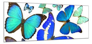 Obraz skleněný modrý motýl - 30 x 40 cm