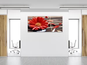 Obraz skleněný květ červené gerbery na proutí - 50 x 70 cm