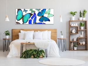 Obraz skleněný modrý motýl - 30 x 60 cm