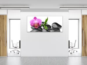 Obraz skleněný květ růžová orchidej, bambus, černý kámen - 30 x 60 cm