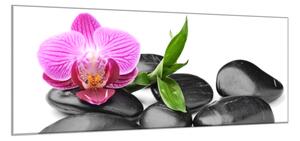 Obraz skleněný květ růžová orchidej, bambus, černý kámen - 50 x 70 cm