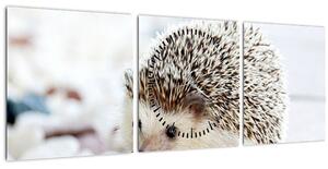 Obraz ježka (s hodinami) (90x30 cm)