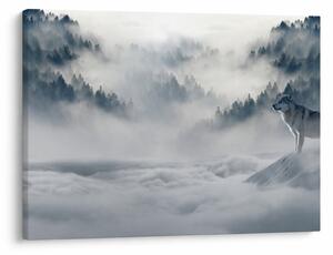 Obraz vlků (70x50 cm)