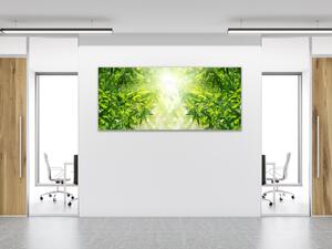Obraz na skle detail listů bambusový les - 40 x 60 cm