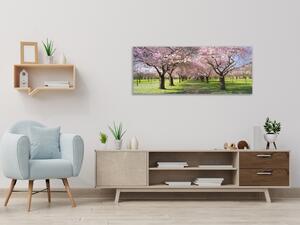 Obraz skleněný sad rozkvetlých stromů - 90 x 120 cm