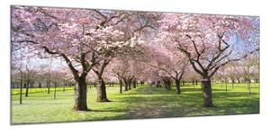 Obraz skleněný sad rozkvetlých stromů - 70 x 100 cm