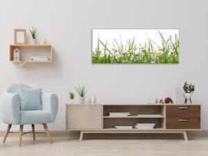 Obraz skleněný sedmikrásky v trávě - 40 x 100 cm
