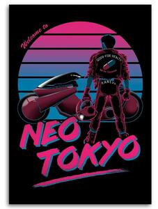 Obraz na plátně Neo Tokio - DDJVigo Rozměry: 40 x 60 cm