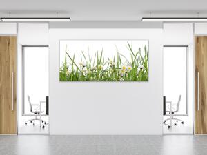 Obraz skleněný sedmikrásky v trávě - 30 x 60 cm