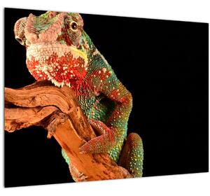Skleněný obraz chameleona na větvi (70x50 cm)