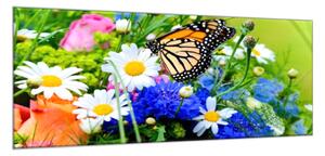 Obraz skleněný barevné květy a motýl - 70 x 100 cm