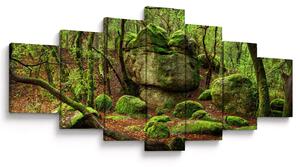 Obraz kouzelného lesa (210x100 cm)